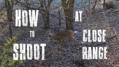How To Shoot Deer At Close Range Bowhunting From A Treestand Youtube