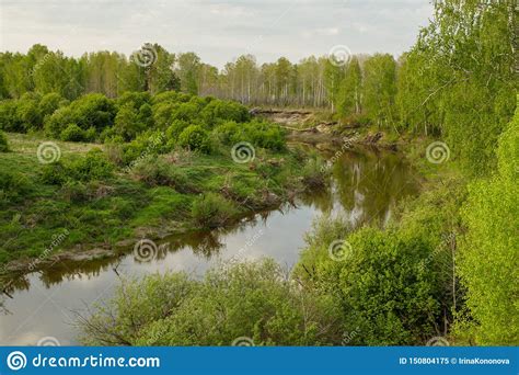 View Of The Taiga Siberian River Vagai Spring Landscape Stock Image