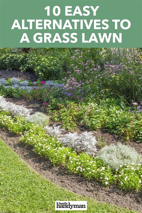 10 Easy Alternatives To A Grass Lawn Lawn Alternatives Grass