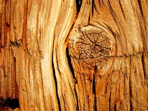 wooden boards texture background, wood