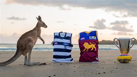 Submitted 4 months ago * by tom stewartmarcohanyt. AFL finals 2020: Geelong Cats will win flag, say kangaroo ...