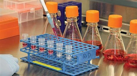 Neuvoo™ 【 167 789 cell culture job opportunities in usa 】 we'll help you find usa's best cell culture jobs and we include related job information like salaries & taxes. How Do Undefined Components in Cell Culture Media Impact ...