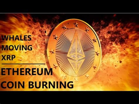 ETHEREUM COIN BURN; Millions of XRP on the Move; Fund ...