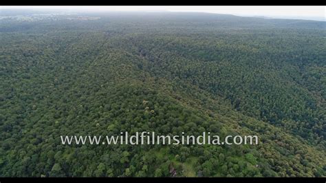 Fly Over Pannas Critical Tiger Habitat With Thick Forests In Vindhya