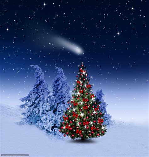 下载壁纸 圣诞树 新年 圣诞壁纸 免费为您的桌面分辨率的壁纸 1932x2048 — 图片 №638262
