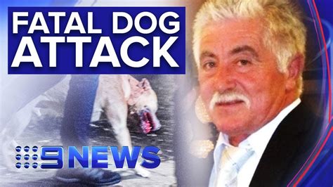 Man Mauled To Death By Pet Dog In Melbourne Nine News Australia Youtube