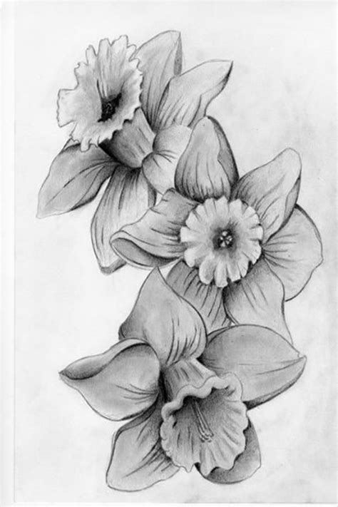 Bouquet Of Flowers Pencil Drawing Elainewed Flowers