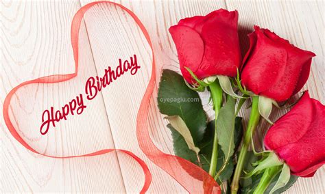 50 Happy Birthday Roses Images Free Download For Bday Wish