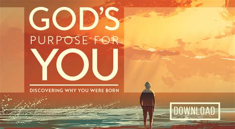 Gods Purpose For You Discovering Why You Were Born Booklet