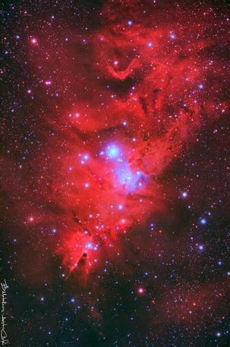 The Cone And Fox Fur Nebula Nebula Space And Astronomy Astronomy