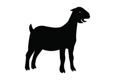 Download High Quality Goat Clipart Eating Transparent Png Images Art