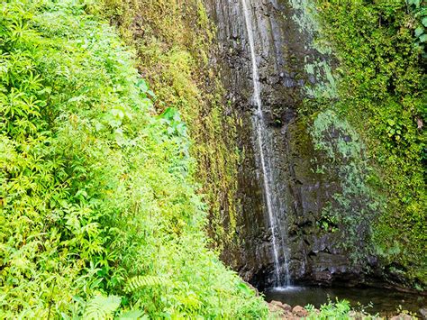 Hawaii Waterfalls A Comprehensive Guide This Week Hawaii