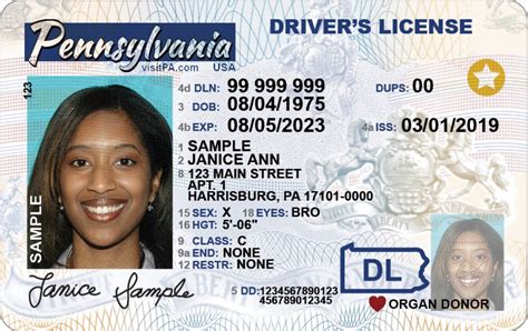 Penndot Offers Non Binary Gender Designation Option On Driver Licenses Id Cards Delco Times