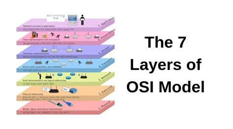 Layers Of The Osi Model Osi Model What Is The Osi Model Explained Images My XXX Hot Girl