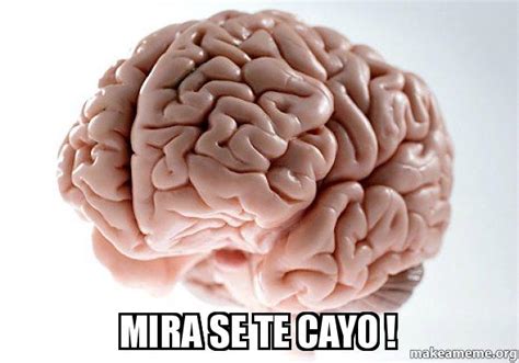 Mira Se Te Cayo Scumbag Brain Make A Meme