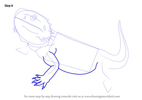 Cartoon Easy Bearded Dragon Drawing
