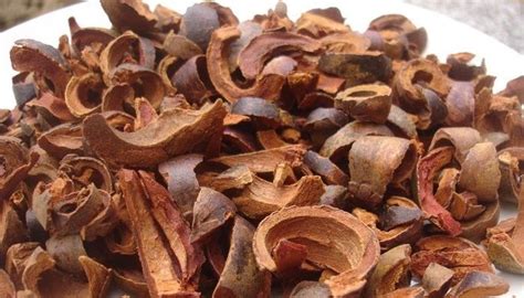 Selain kulit, daging buah manggis juga dipercaya untuk mengobati diare, radang amandel, keputihan, wasir, peluruh dahak, dan sakit gigi. 12 Manfaat Kulit Manggis untuk Kesehatan - Khasiat Sehat