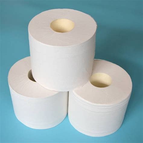 Toilet Paper 2ply Hce South