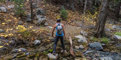 San Gorgonio Via Momyer Creek Trail Vivian Creek Trail Outdoor Project