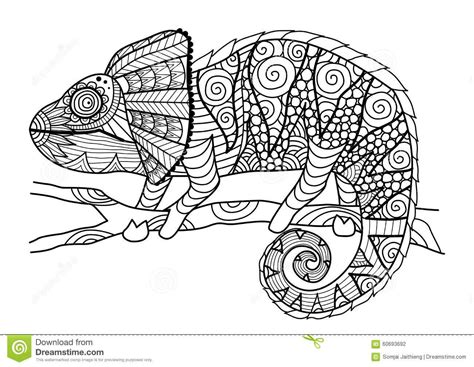 https://thumbs.dreamstime.com/z/hand-drawn-chameleon-zentangle-style