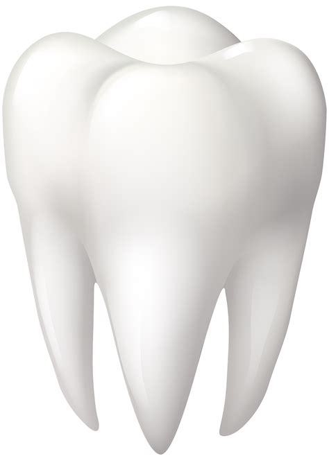 Molar Tooth Clipart