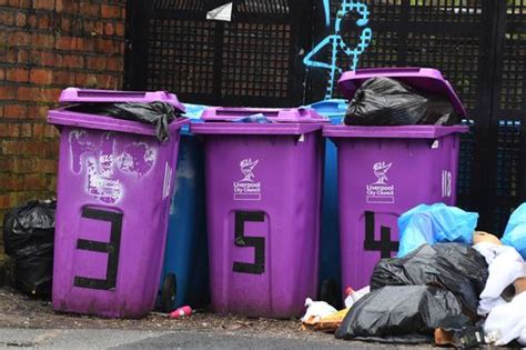 The Uk Law On Putting Rubbish In Your Neighbours Bin Explained