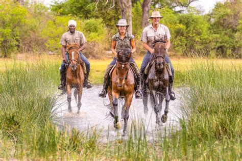 An Incredible Mobile Horseback Safari Across The Okavango Equus Journeys