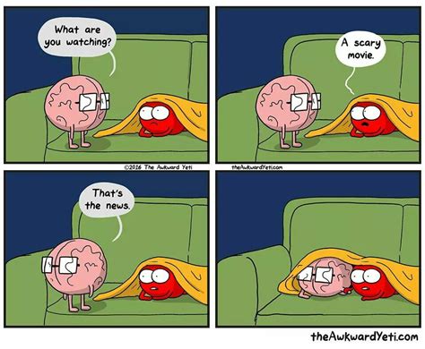 Heart And Brain The Awkward Yeti Awkward Funny Hilarious Akward Yeti