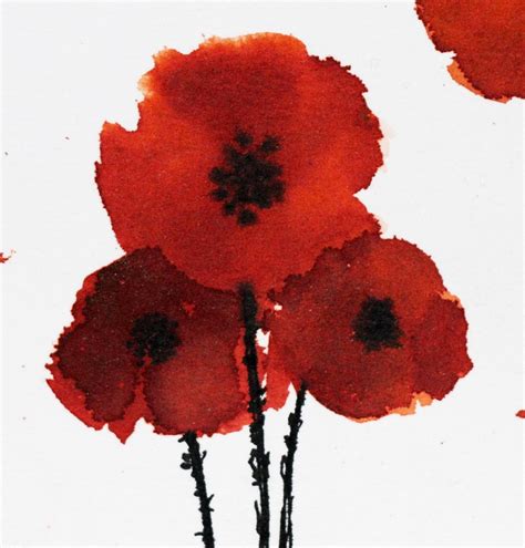 Poppies Watercolor And Ink Drawing Watercolor And Ink Drawings