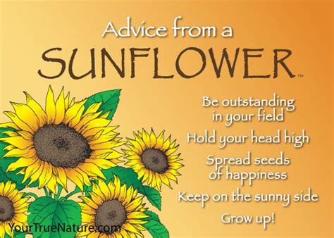 And the yellow sunflower by the brook, in. Advice from a Sunflower - Jumbo Magnet - Your True Nature | Nature quotes, Sunflower quotes ...