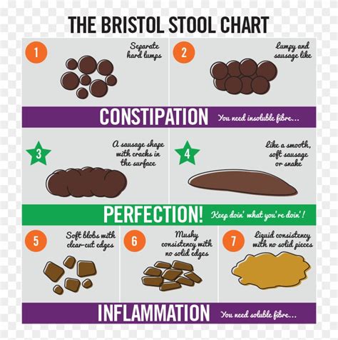 Dog Poop Normal Cake Bristol Stool Chart Hd Png Download 800x818