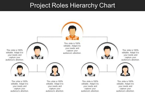 Project Roles Hierarchy Chart Sample Of Ppt Presentation PowerPoint Templates Backgrounds