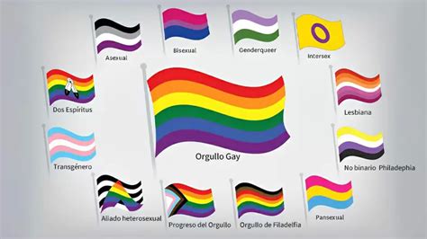 Test Encuesta De La Bandera Del Orgullo De LGBTQ Kuioo