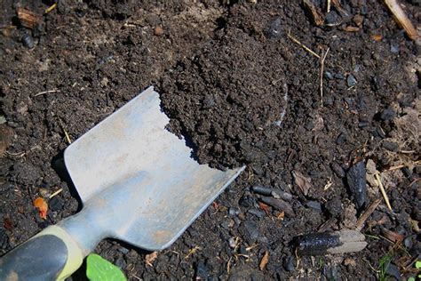 Know Your Garden Soil How To Make The Most Of Your Soil Type Types