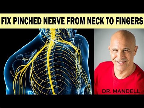Fix Pinched Nerve From Neck To Fingers Super Fast Dr Alan Mandell Dc