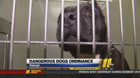 Raleigh Puts Off Dangerous Dogs Ordinance Abc11 Raleigh Durham