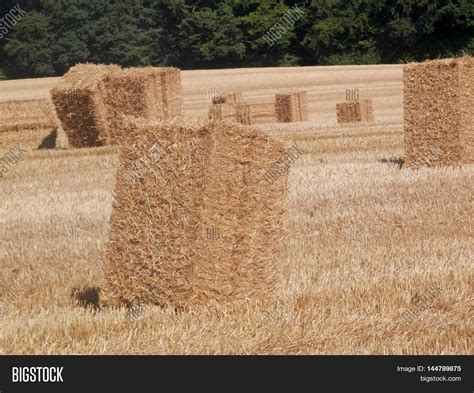 Square Straw Bales Image And Photo Free Trial Bigstock