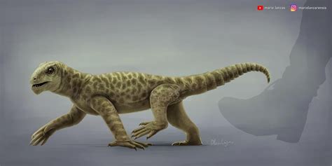 Suminia Was A Non Mammalian Synapsid From Anomodontia That Lived In The