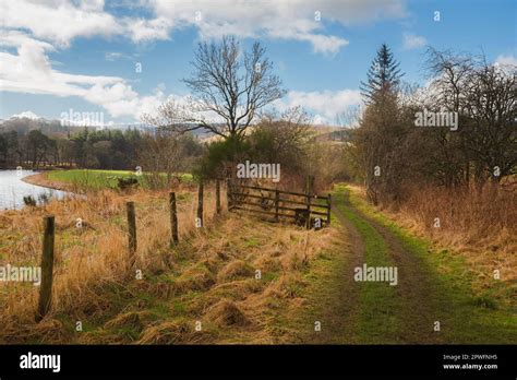An old, empty, dirt country road in the rural, pastoral countryside of