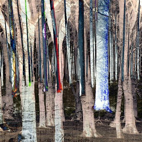 Landscape Forest Trees Digital Art By Mary Clanahan Fine Art America