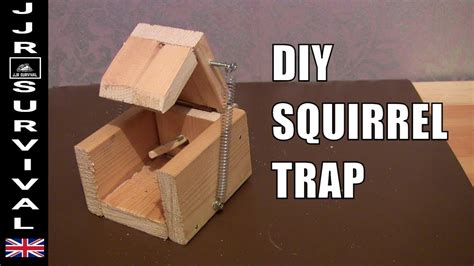 Diy Squirrel Trap Youtube