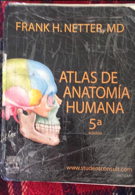 Atlas De Anatomia Humana Frank Netter 5 Edición Original 30 000
