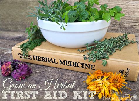 Grow An Herbal First Aid Kit For Your Chickens Fresh Eggs Daily