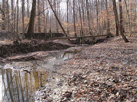According to wreg, two rangers found the cabin. 15 Epic Tennessee Road Trips You Can't Miss