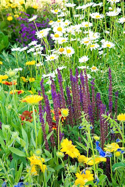 24 Perennial Plant Combinations That Look Amazing All Summer Long