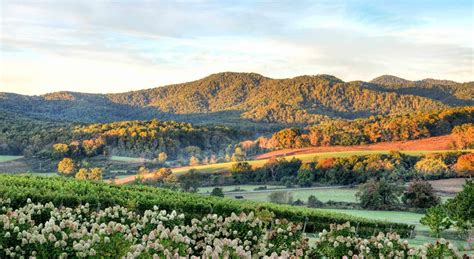 Top 5 Bucket List Worthy Wineries Near Charlottesville Va