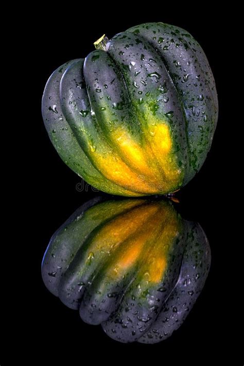Ripe Acorn Squash Right Out Of Hte Garden Stock Photo Image Of Edible