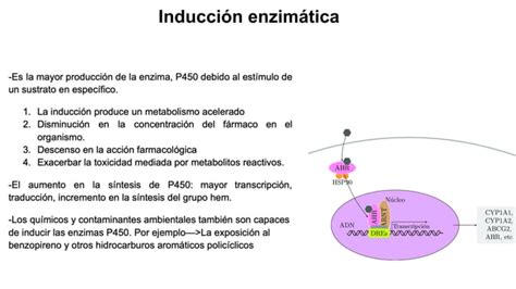 Farmaco Ppt Descarga Gratuita