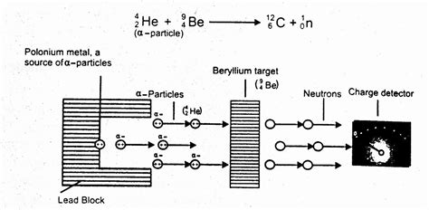 Discovery And Properties Of Neutrons Chemistry Skills