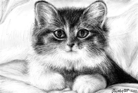 Cute Kitten Drawing By Annokat On Deviantart